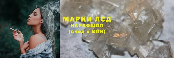 трава Бородино