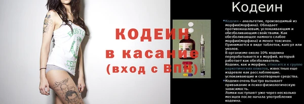 трава Бородино